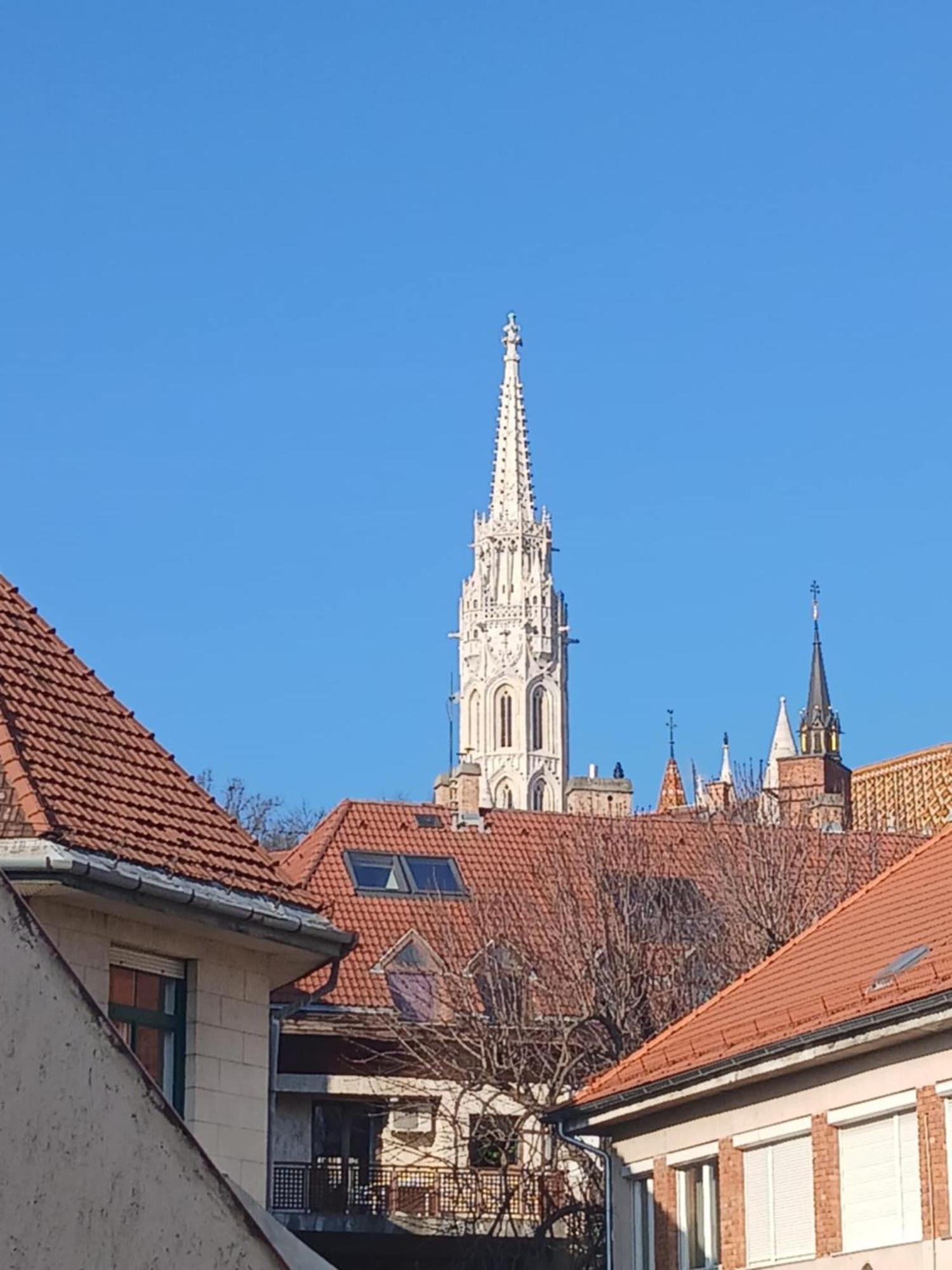 Cozy Panorama At The Castle Apartment Budapest Ngoại thất bức ảnh